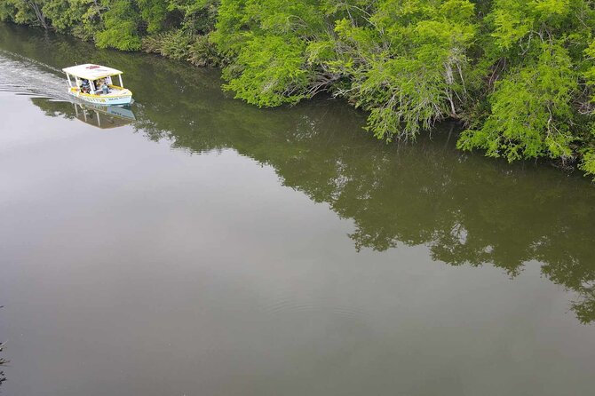 Scenic & Historical Nature Boat Safari Up the Negril River - Price, timing, and value for $65 per person