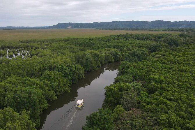 Scenic & Historical Nature Boat Safari Up the Negril River - How to plan your day around a 2-hour river safari