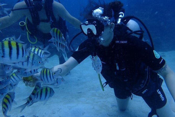 Scuba Diving and shopping on the Hipstrip. - Time at the Beach Park Before and After