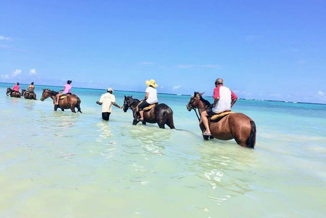 Secret Falls, Blue Hole, and Horseback Riding from Ocho Rios - Key highlights to look for