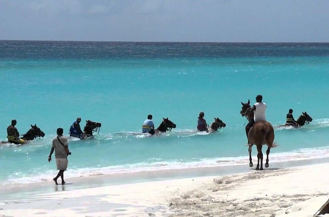 Secret Falls, Blue Hole, and Horseback Riding from Ocho Rios - Group Size, Privacy, and Why the Minimum Matters