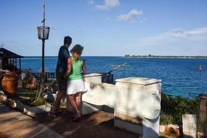 Self-Driven MINI Cooper Tour From Montego Bay To Ocho Rios - Dunn’s River Falls climb: why it’s the main event