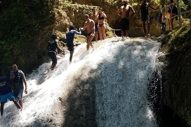 Shared Dunn's River Falls Snorkel Cruise with Music, Open Bar from Runaway Bay - Snorkeling Stop: Coral Reefs, Fish, and What to Expect
