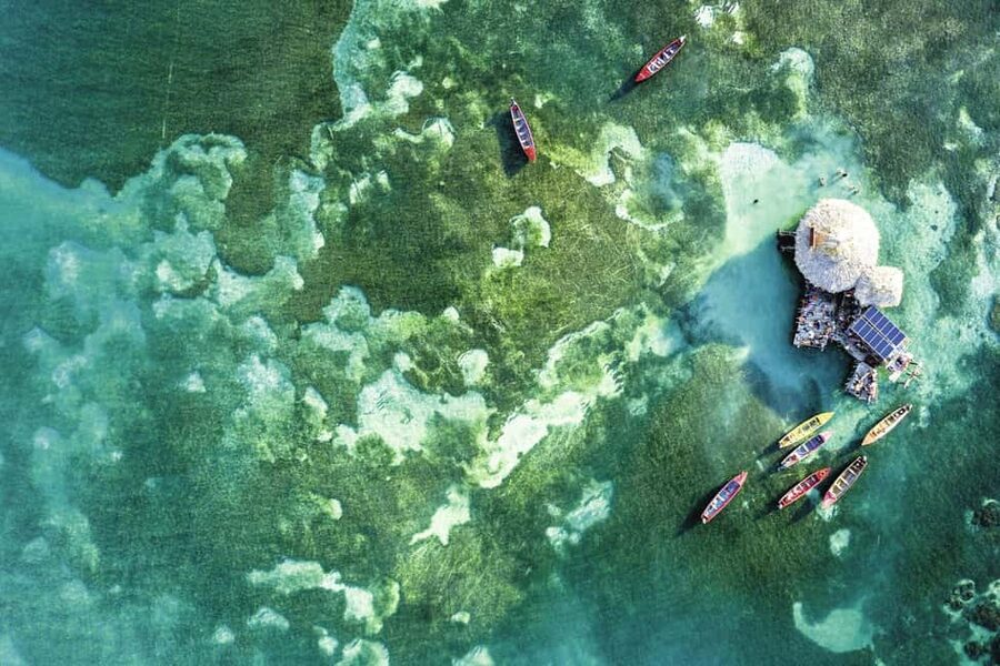 Shared or Private FD Appleton Rum, YS Falls & Pelican Bar - Rum, Waterfalls, and the Pelican Bar: Key Highlights That Matter
