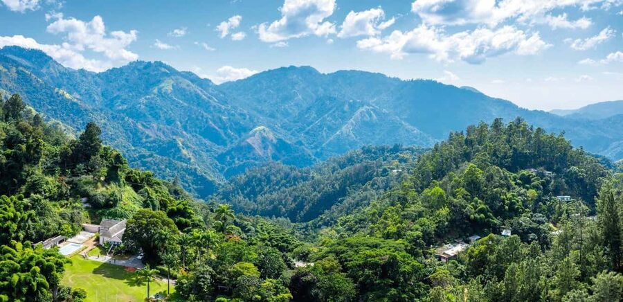 Shared/Private Full Day Blue Mountains Tour -Top Attractions - Craighton Estate: Certified Rainforest Alliance and Coffee from Bean to Cup