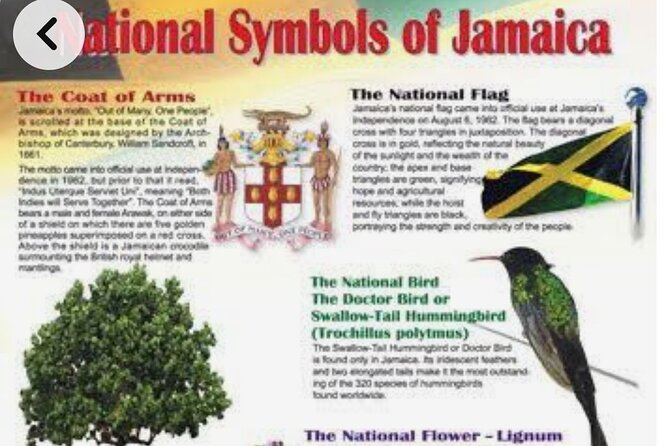 Sightseeing Tour in Ocho Rios - A Private Ocho Rios Day With Mekas Tour Jamaica