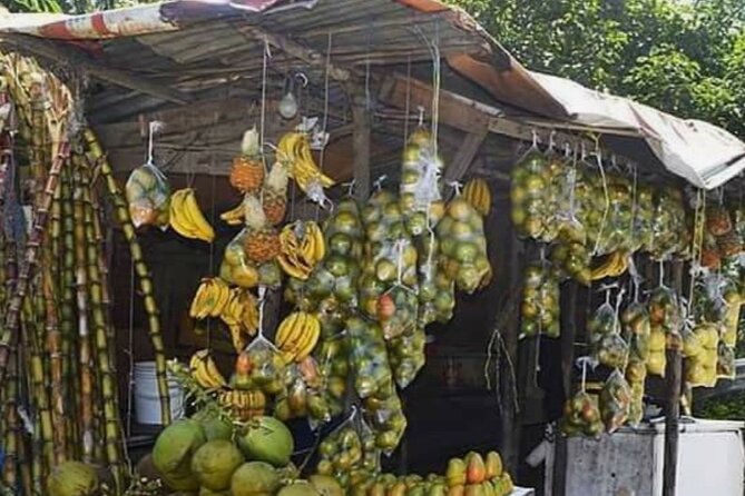 Sightseeing Tour in Ocho Rios - Price and Value: What $64.94 Really Buys You