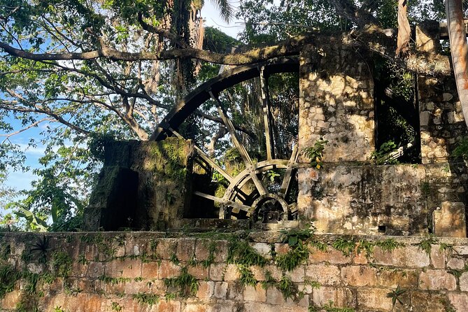 Sightseen tour and Souvenir shopping with private transportation in Montego Bay - The Car Experience: A/C Comfort and a Guide Who Explains Along the Way