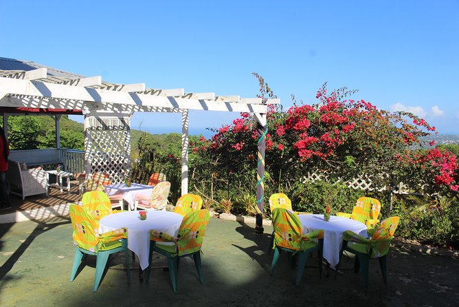 Skip the Line: Ahhh Ras Natango Gallery and Garden Admission Tickets - Montego Bay pickup and the ride to the garden