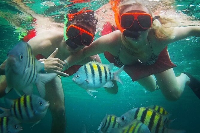 Snorkeling and Shopping in Montego Bay with Hotel pickup - The 1-hour guided snorkeling: gear, support, and what you’ll see