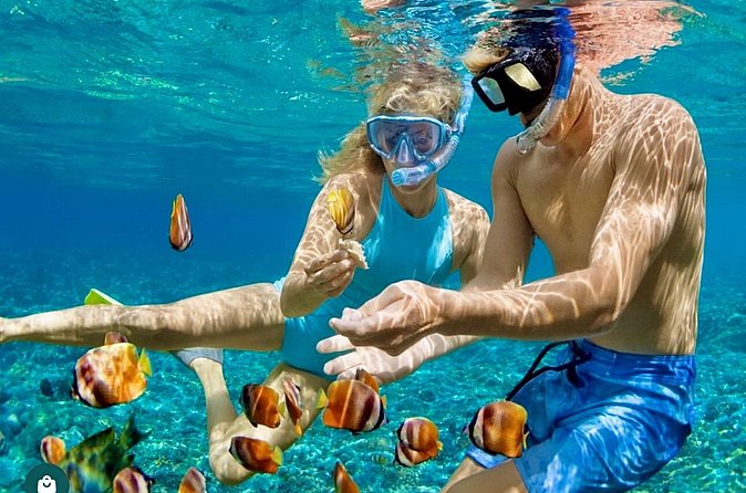 Snorkeling and Shopping in Montego Bay with Hotel pickup - Price and logistics: is $85 per person worth it?