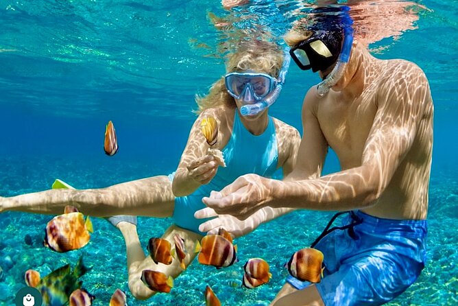Snorkeling and Shopping in Montego Bay with Hotel pickup - Who should book this Montego Bay snorkel-and-shop tour