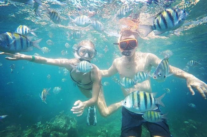 Snorkeling and Shopping in Montego Bay with Hotel pickup - The bottom line: should you book it?
