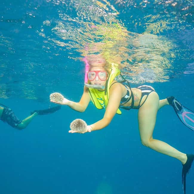 Snorkeling in Montego Bay with Transportation - The Montego Bay snorkeling experience, with transport handled