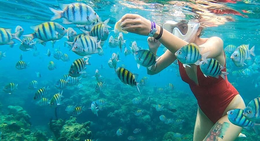 Snorkeling in Montego Bay with Transportation - Pickup and drop-off: the 5 hotel and area options that make it convenient