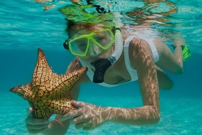 Snorkeling with Margaritaville and shops on Hipstrip activity - What This 3-Hour Snorkel-and-Shops Trip Really Delivers