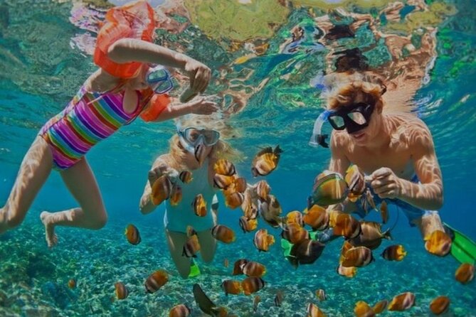 Snorkeling with Margaritaville and shops on Hipstrip activity - Value Check: Does $39 Per Person Make Sense?