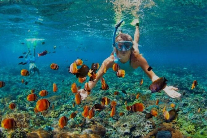 Snorkeling with Margaritaville and shops on Hipstrip activity - Snorkeling Time at the Reef: Equipment, Boat Ride, and Coral Viewing