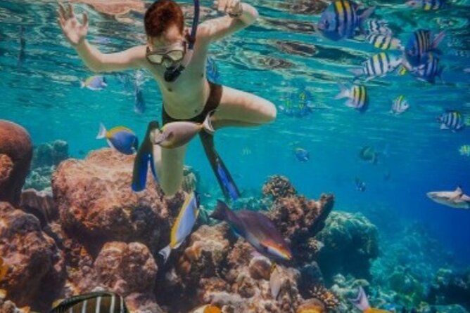 Snorkeling with Margaritaville and shops on Hipstrip activity - Pickup, Air-Conditioned Transport, and Keeping the Day Simple
