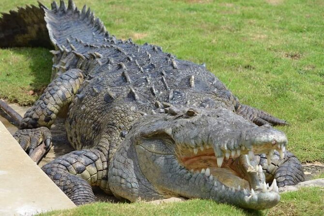 South Coast Cultural Tour History and Nature - Price and Logistics: Is $360 Good Value?