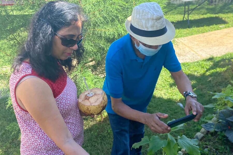 Taste of Jamaica Farm & Food Tour - Value for Money: Why $98 Can Make Sense Here