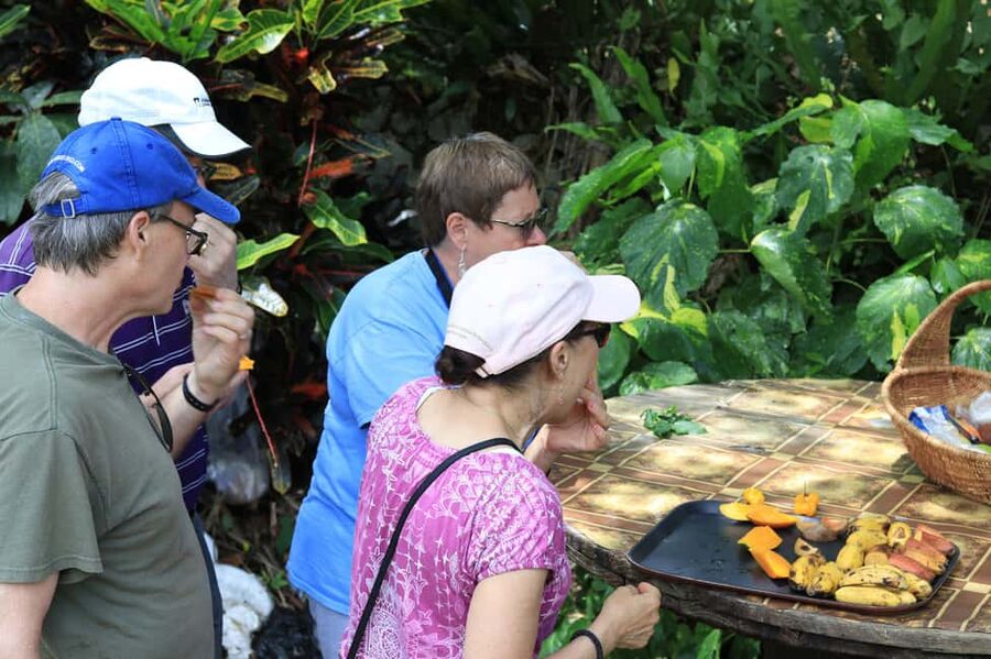 Taste of Jamaica Farm & Food Tour - Getting From Ocho Rios to the Farm Without Stress