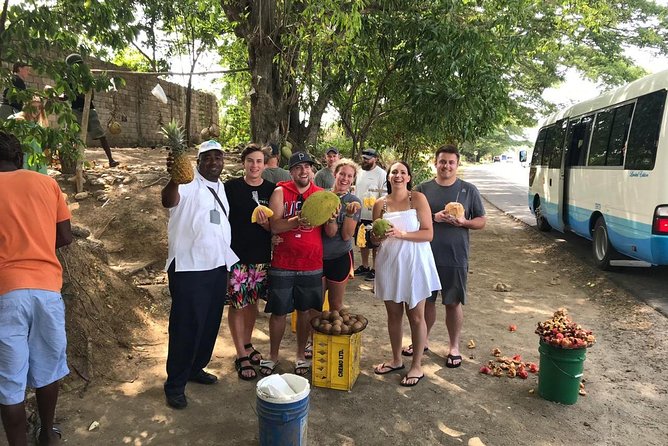 Taste of Jamaica Food Tour from Ocho Rios - Private-group feel: up to 15 people, best for families and food lovers
