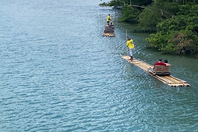 The Best of Port Antonio Day-Trip from Ocho Rios - Boston Jerk Center Stop: Where Your Lunch Plan Needs One Quick Check