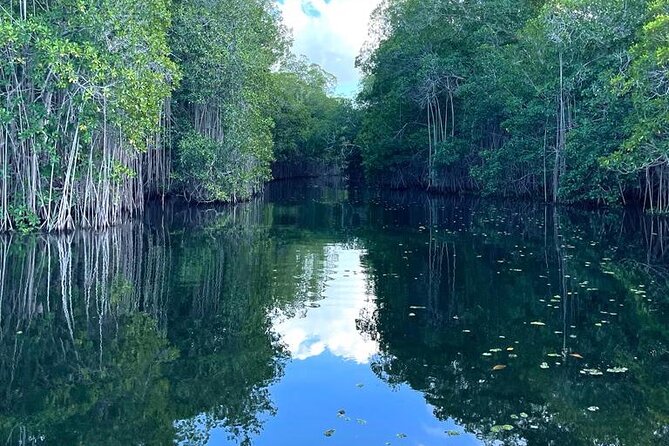 Tour to Black River and YS Falls - How the 8.5 Hours Actually Feels in Real Life
