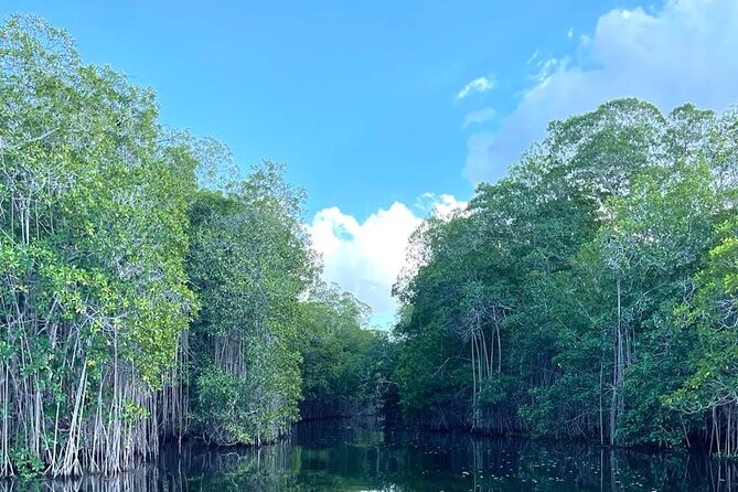 Tour to Black River and YS Falls - What Makes Everald’s Tour Style Worth Noting