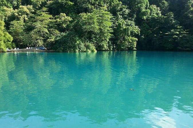 Tour to Fern Gully and Konoko Falls and Park - Views over Ocho Rios: what to do with your camera time