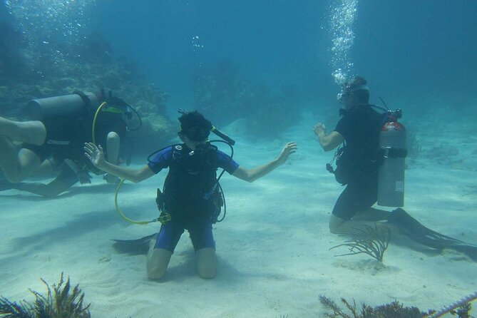 Two Tank Dive in Montego Bay w/Certified Divers - Equipment and Boat Transfer: What Is Included, What You Should Bring