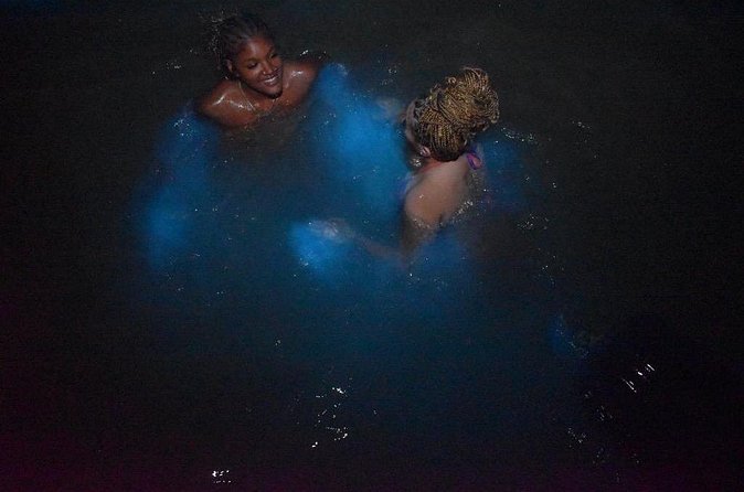 World famous Luminous lagoon Night tour with transportation - Price and value: is $79 worth a private glowing swim?