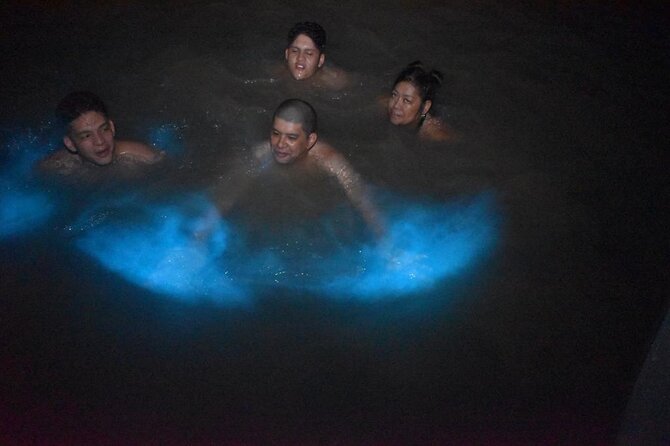 World famous Luminous lagoon Night tour with transportation - Your private ride: A/C, Wi-Fi, and a driver with your name