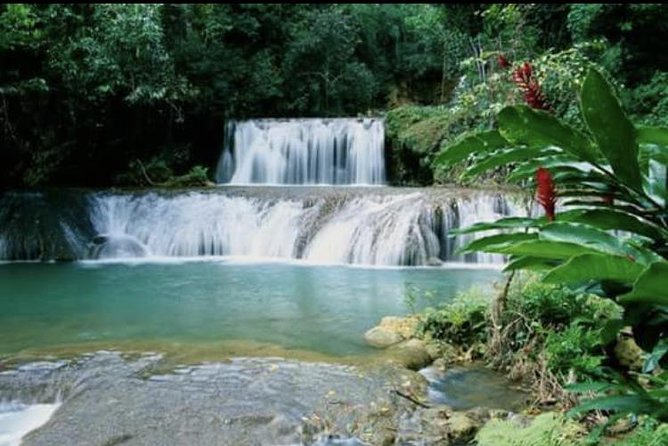 YS Falls and Appleton Estate Private Rum Tour - Who should book this tour (and who should consider another plan)