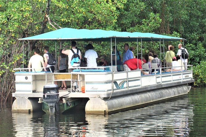 YS Falls and Black River Safari Guided Tour from Montego Bay and Grand Palladium - YS Falls tractor jitney, seven-tier cascades, and swim time