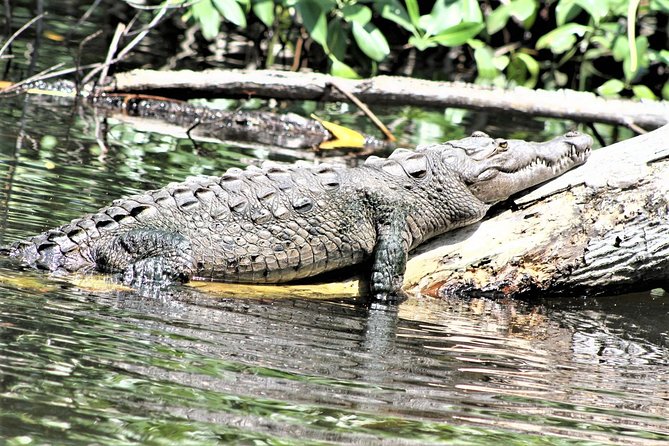 YS Falls and Black River Safari Guided Tour from Montego Bay and Grand Palladium - Who made the day feel smooth: drivers and hosts