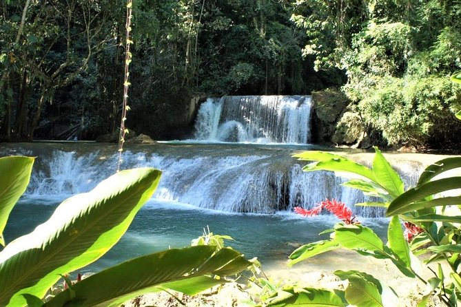 YS Falls and Black River Safari Guided Tour from Montego Bay and Grand Palladium - Group size, timing, and what to pack