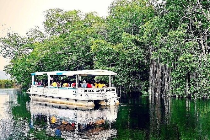 YS Falls and Black River Safari South Coast from Negril Jamaica - What Kind of traveler should book this?
