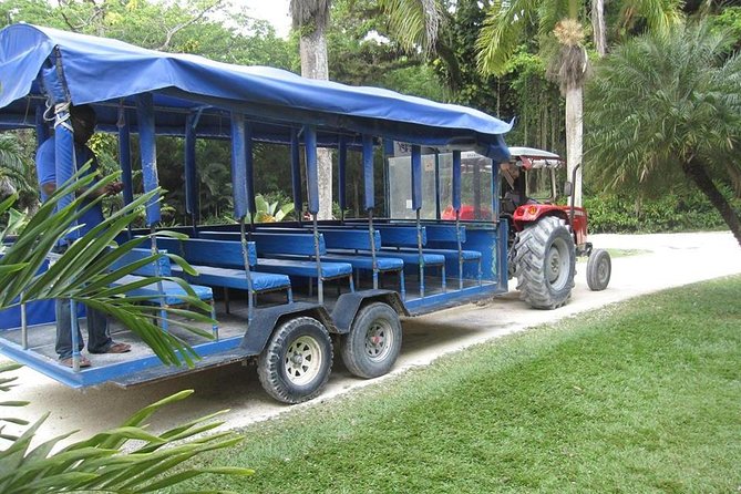 YS Falls and The Pelican Bar Adventure Tour from Negril - YS Falls: seven tiers, spring-fed pools, and practical help where you need it