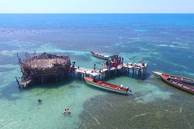 YS Falls and The Pelican Bar Adventure Tour from Negril - Should you book the YS Falls and Pelican Bar adventure?