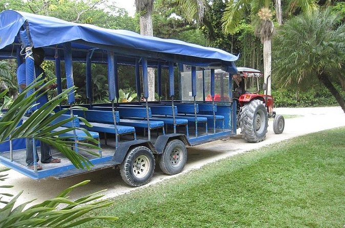 YS Falls and The Pelican Bar Adventure Tour from Negril - FAQ