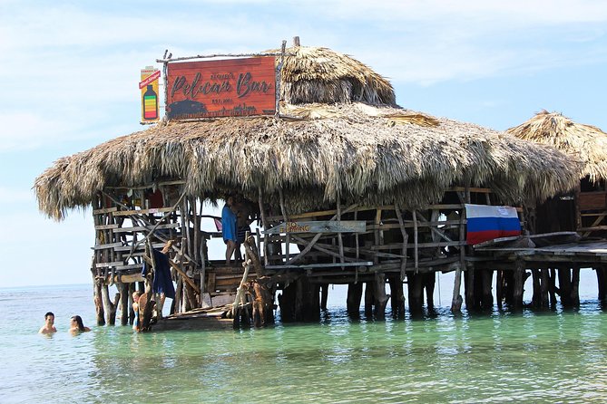 YS Falls, Black River Safari, and Floyd's Pelican Bar Day-Trip (Transportation) - Key things worth knowing before you go