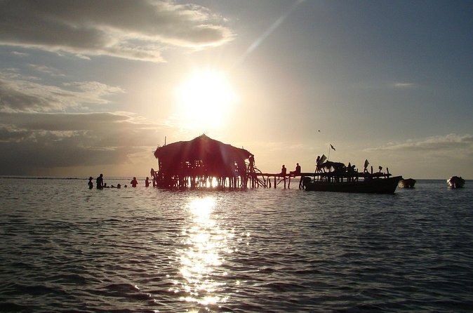 YS Falls, Black River Safari, and Floyd's Pelican Bar Day-Trip (Transportation) - Your driver is part of the experience, not just a taxi