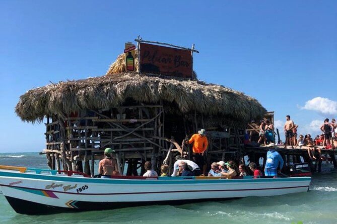 YS Falls, Black River Safari, Appleton Rum Tour OR Pelican Bar (Choose Up to 3) - YS Falls: swimming, rope swings, and knowing the limits