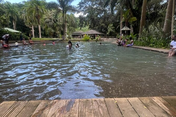 YS Falls, Black River Safari, Appleton Rum Tour OR Pelican Bar (Choose Up to 3) - Price and logistics: how $195 turns into a full-day value