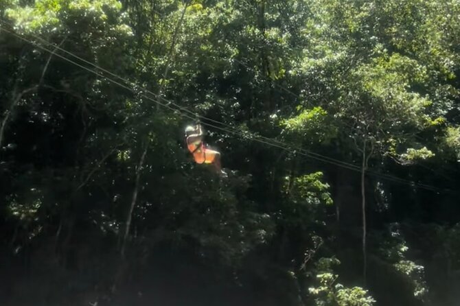 YS Falls, Black River Safari, Appleton Rum Tour OR Pelican Bar (Choose Up to 3) - The guide factor: why the best days depend on personality