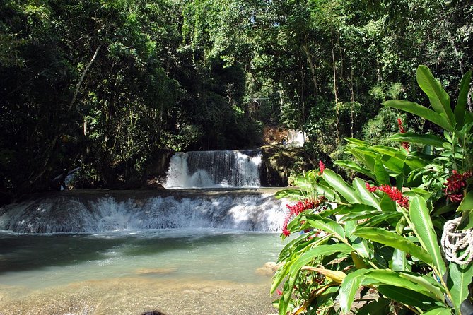 YS Falls, Black River Safari, Appleton Rum Tour OR Pelican Bar (Choose Up to 3) - Pick your three stops: the smart way to tailor this day
