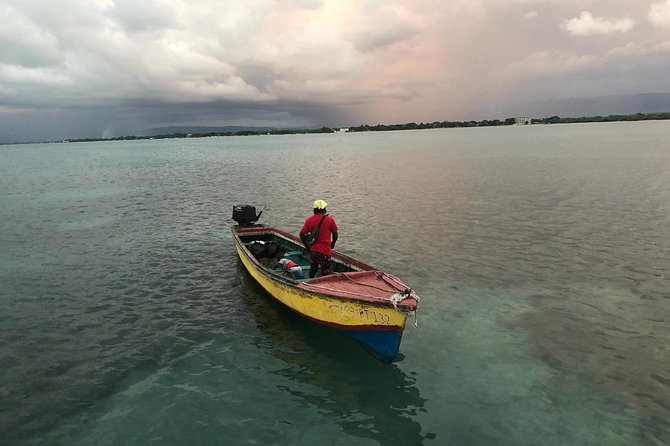 YS Falls, Black River Safari, Floyd’s Pelican Bar - Key Points I’d Highlight Before You Go