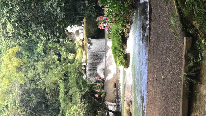 YS Falls Private Full-Day Adventure Tour with Pickup - Private pickup from Negril and the West End, plus a relaxed pace